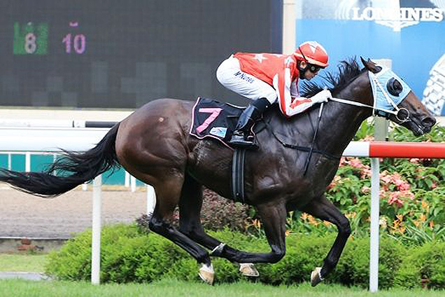 Nova Warrior winning the THE BRITISH CLUB GALLOP 2016 KRANJI STAKES A