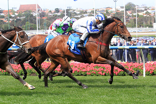 Nurse Kitchen winning the P.W. Glass Fillies Classic Nurse Kitchen winning the P.W. Glass Fillies Classic