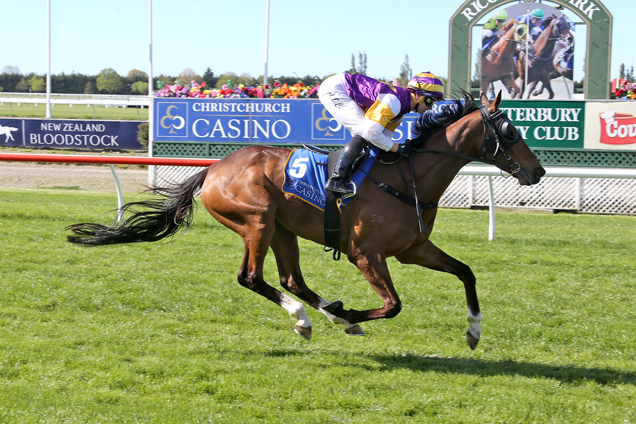 Nymph Monte winning the C'church Casino Spring Classic