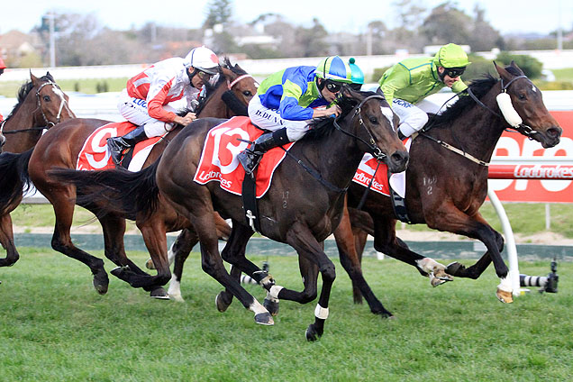 Ocean Embers winning the Ladbrokes Cockram Stakes