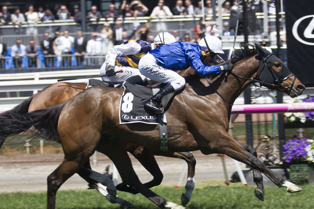 Oceanographer winning the Lexus Stakes