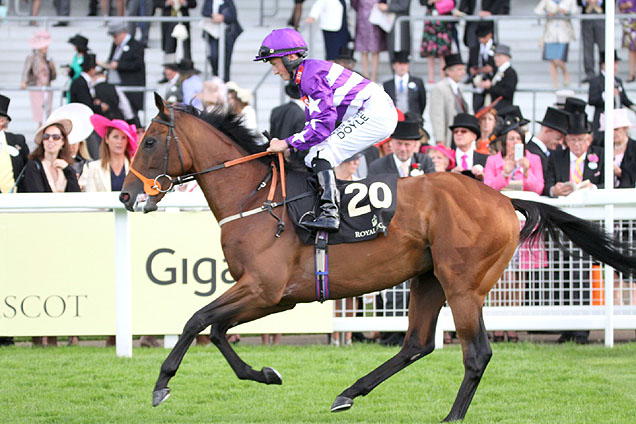 Oh This Is Us running in the Britannia Stakes (Heritage Handicap) (Str)