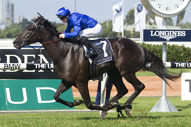 Old North is entered for the 2016 Hollindale Stakes at the Gold Coast.