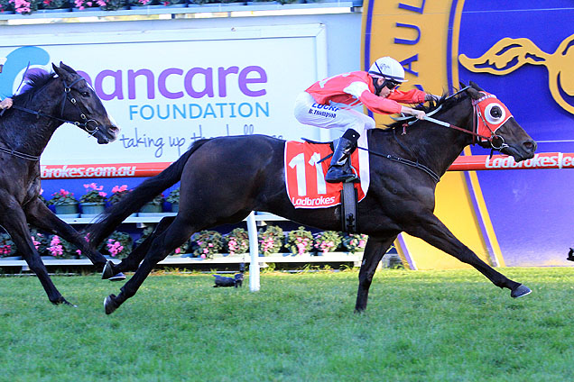 Olivier stretching out to win at Caulfield