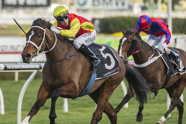 Omei Sword was a good result for punters.