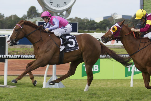 Oxford Poet winning the Winter Stakes