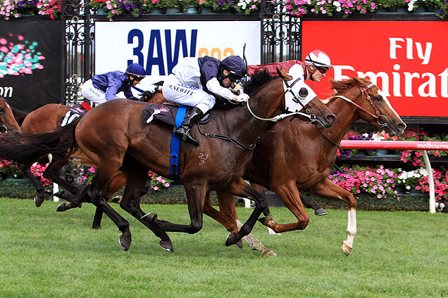 Palentino holds out Tarzino in the Australian Guineas