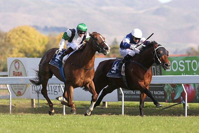 Passing Shot(right) winning the Nzb Finance Sprint