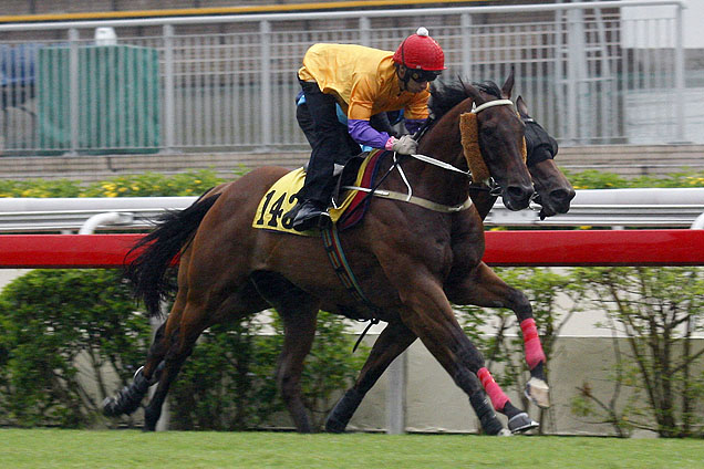 Peniaphobia passes the post first under Matthew Chadwick at Tuesdays Sha Tin barrier trials.