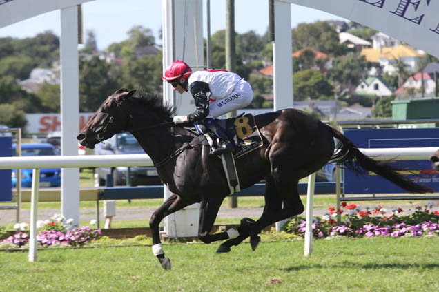 Perfect Fit winning the Westbury Classic