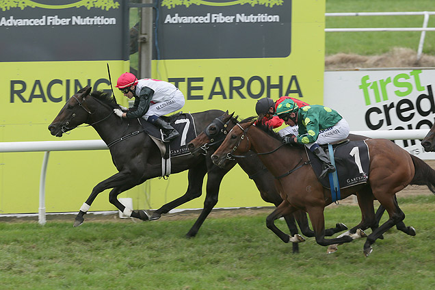 Perfect Fit wins at Te Aroha