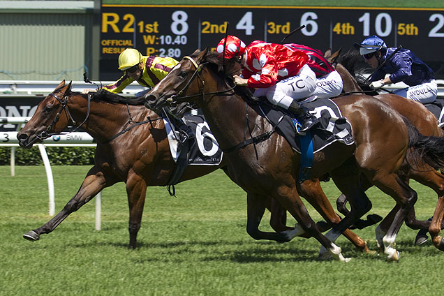 Perignon winning the Liberty Light Fingers Stakes