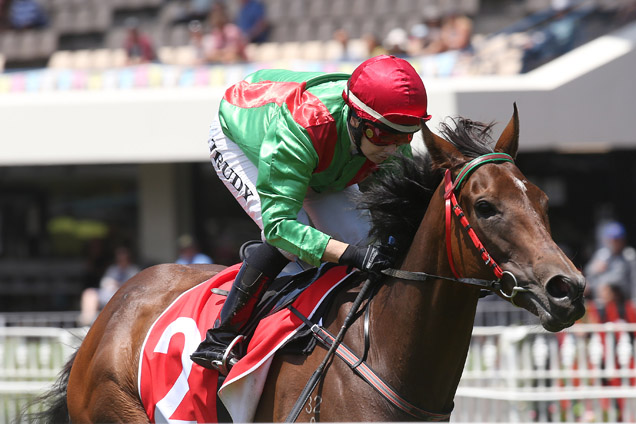 Pondarosa Miss winning the Coca-Cola Hcp