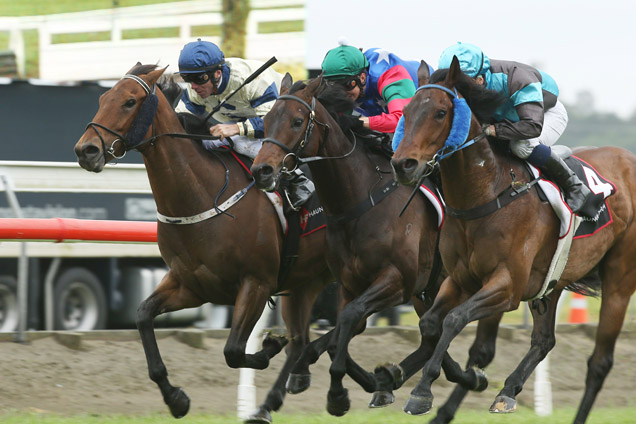 Prince Of Passion(outer blue side winkers) winning the Fastrack Insurance (Bm85)