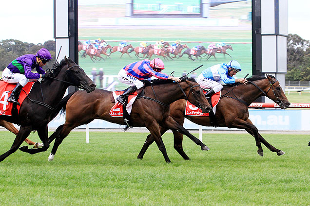 Prompt Response winning the Twilight Glow Stakes