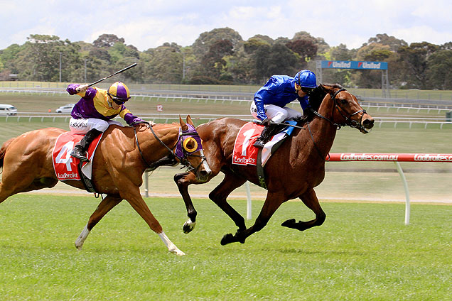 Qewy winning the Sandown Cup