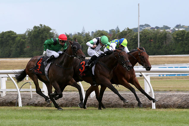 Rangipo winning the Darci Brahma Waikato Guineas Rangipo on rails from Raghu in centre.