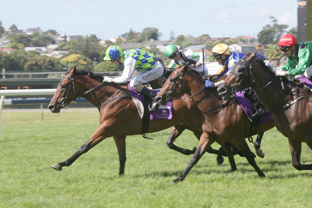 Rangipo winning the Auckland Eye Avondale Guineas