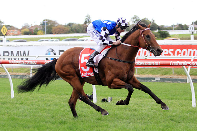 Raw Impulse is a raging early favourite for the 2016 McKell Cup.