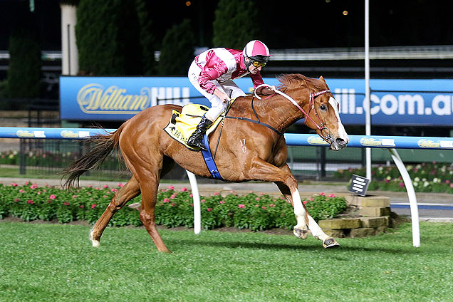 Real Love did well over east after the Perth Cup