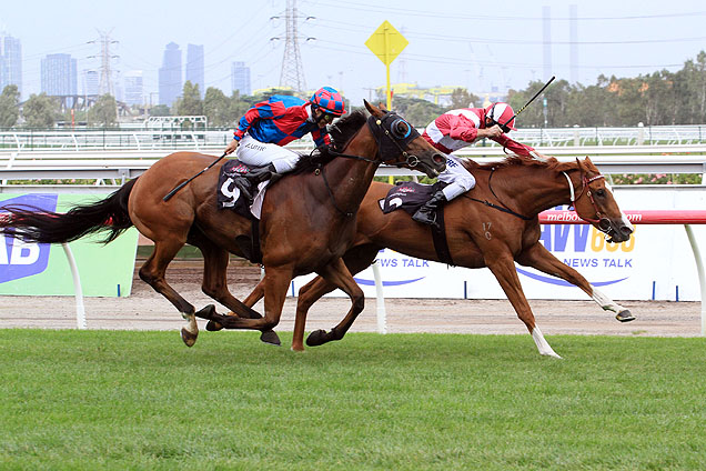 Real Love winning the 3aw Roy Higgins Quality