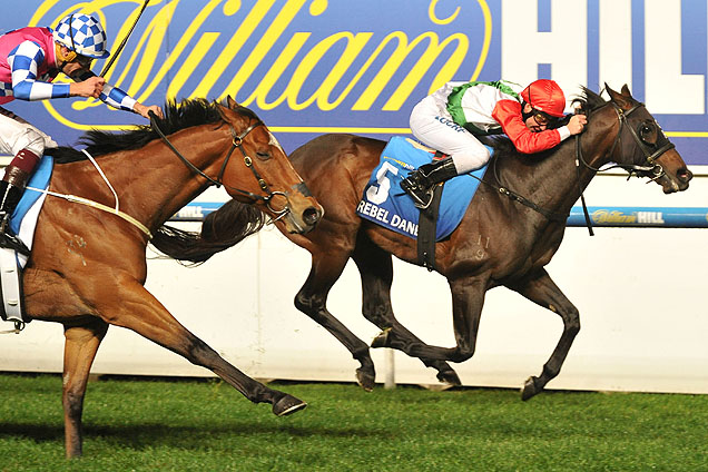 Can Rebel Dane keep Gary Portelli's run going? Can Rebel Dane keep Gary Portelli's run going?