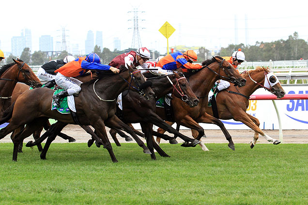 Red Bomber winning the Tab Rewards Stakes