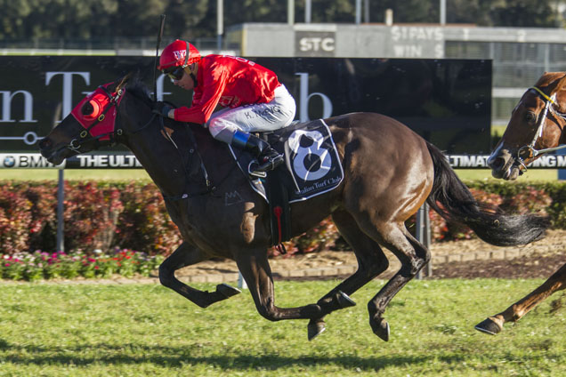 Redzel.