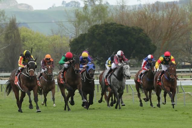 Ringo (far left down) winning the G R Kelt Mem. Spring Sprint