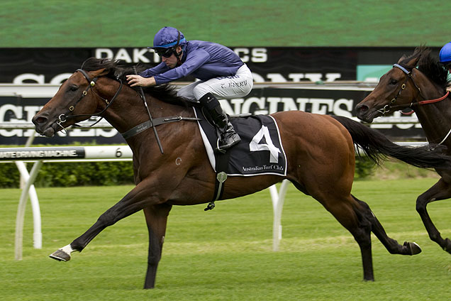 River Wild will be ridden by Brenton Avdulla in the 2016 Rosehill Guineas.