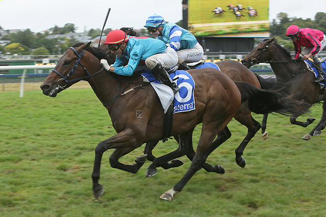 Ryan Mark winning the Sistema Railway Stakes