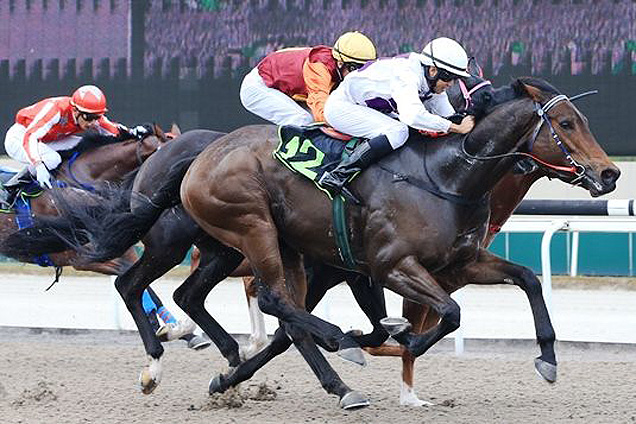 Sacred Crown winning the CLARENCE HOUSE STAKES CLASS 5