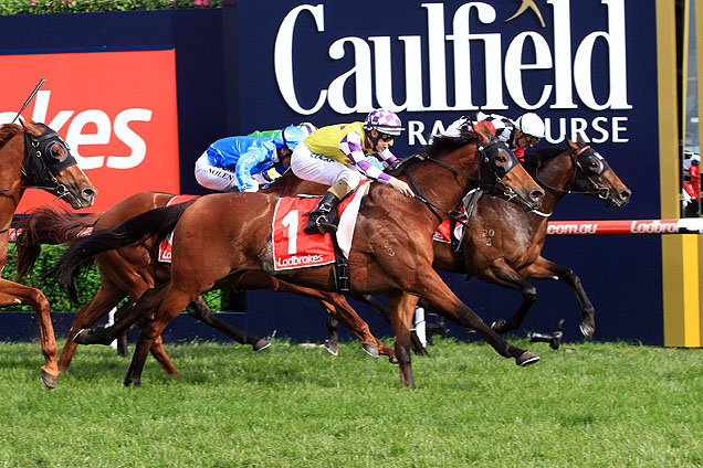 Sacred Elixir winning the Ladbrokes Caulfield Gneas Prel