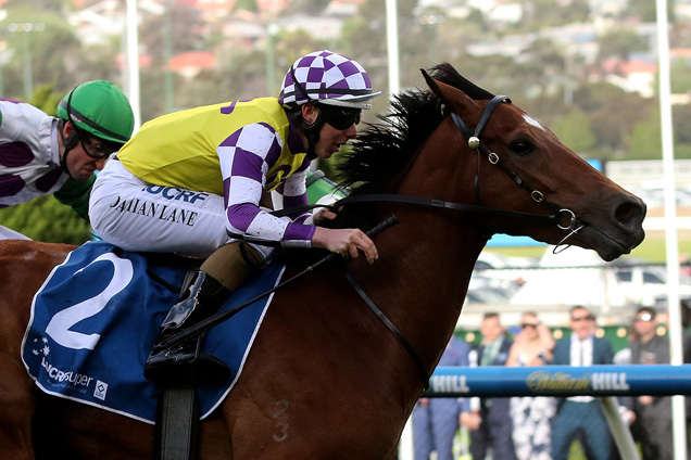 Sacred Elixir running in the Aami Victoria Derby