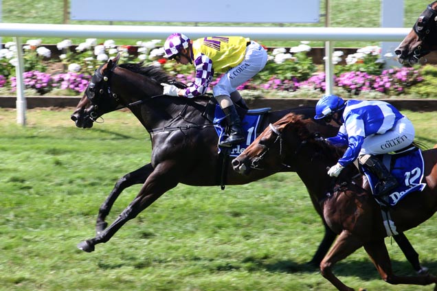 Sacred Star winning the Darley Plate