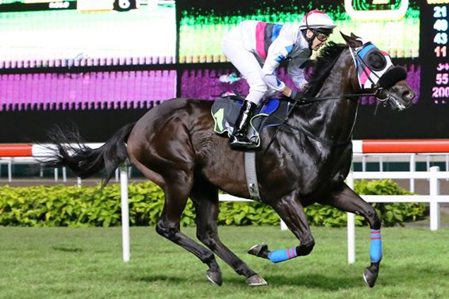 Sand Bank winning the KRANJI STAKES D