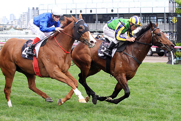 Saracino winning the Danehill Stakes