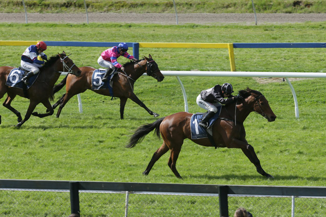 Scapolo winning the Sweynesse Stakes