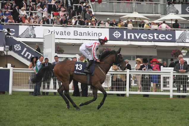 Scarlet Dragon running in the Investec Private Banking Stakes (Handicap)