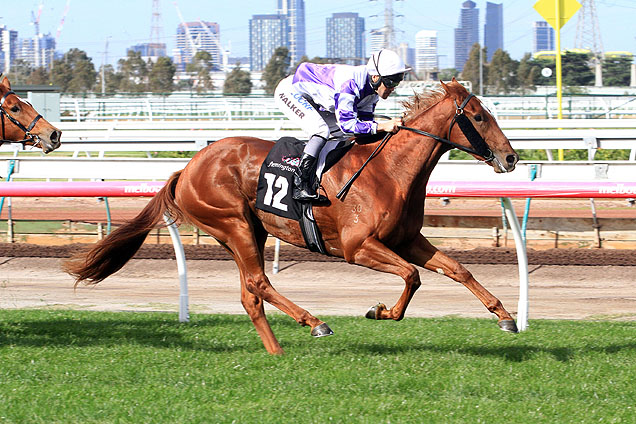 Sebring Dream is entered for Lindsay Park Sebring Dream is entered for Lindsay Park