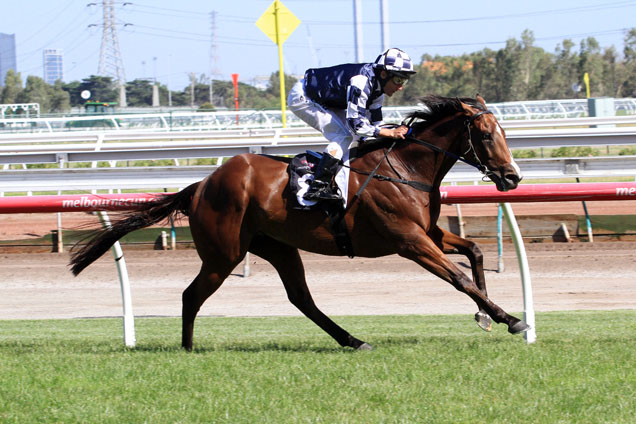 Second Bullet can strike on his home track Flemington