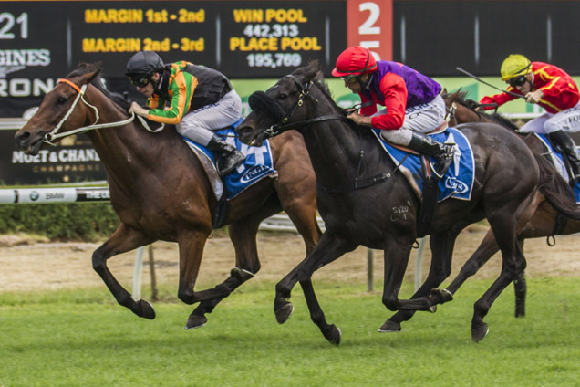 Sense Of Occasion winning the Inglis Villiers Stakes Sense Of Occasion winning the Inglis Villiers Stakes