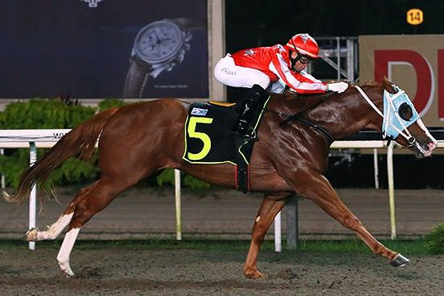 Shadow Of War winning the SHA TIN STAKES CLASS 4