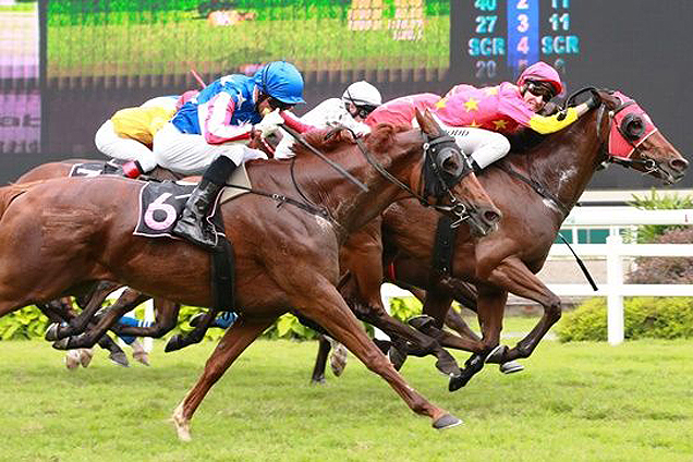 Shanghai Bund winning the TABCORP HOLDINGS TROPHY CLASS 3