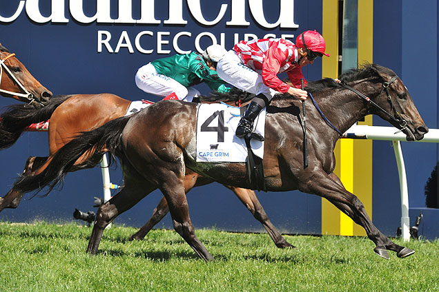 Sheidel can win again at Flemington