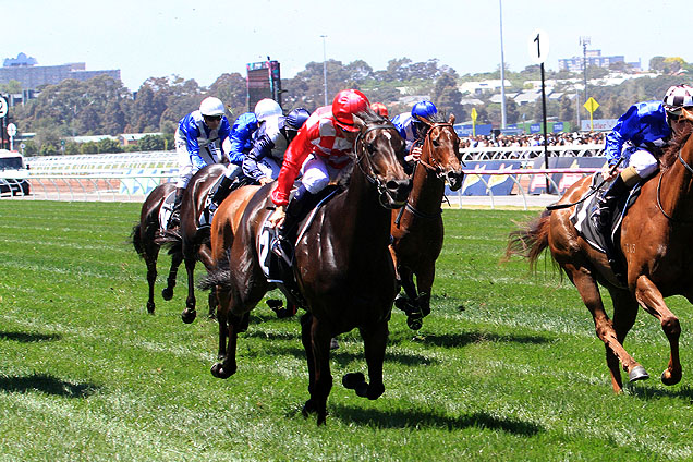 Sheidel winning the Sensis Stakes