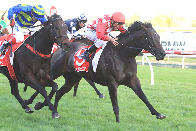 Sheidel winning the Sheen Group Bel Esprit Stakes