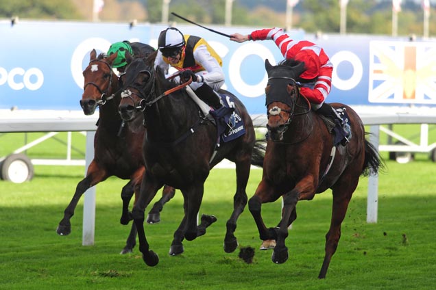 Sheikhzayedroad wins the Long Distance Cup