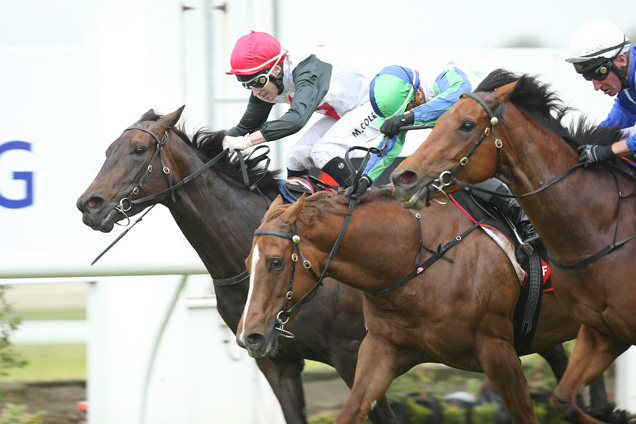 Shezhardtocatch(white cap), winning the Haunui Farm Counties Bowl