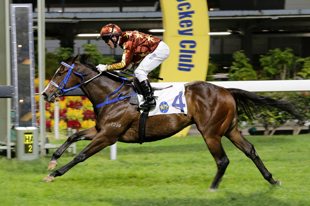 Showing Character winning the LAI CHI KOK HANDICAP Showing Character winning the LAI CHI KOK HANDICAP